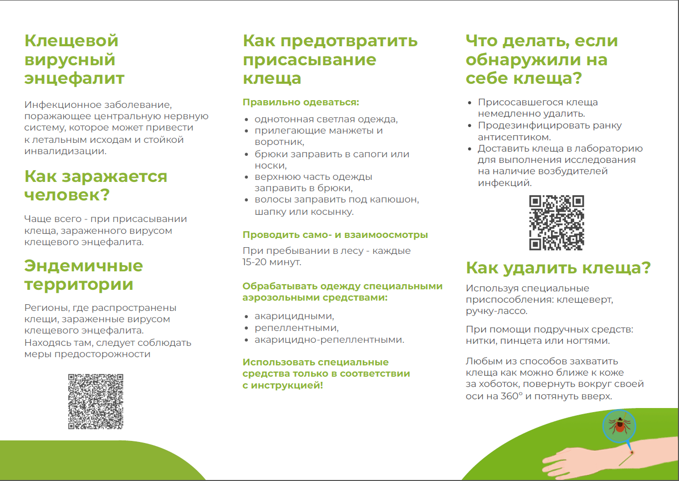 О клещах информирует администрация Ардатовского района.